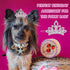 MTLEE 2 Pieces Dog Tiara Crown Hair Clips Clear Crystal Rhinestone Hair Barrettes Pet Crown Hair Clips Girls Puppies Barrette for Pet Dogs Groomin...