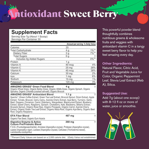Amazing Grass Greens Blend Antioxidant: Super Greens Powder Smoothie Mix with Organic Spirulina, Beet Root Powder, Elderberry, Bilberry, Prebioiti...