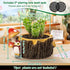 Owl Succulent Planters Flower Plant Pots for Plants with Drainage Hole?Planter Pots for Indoor Plants/Succulent/Cactus,Indoor Planter for Home Off...