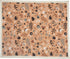 Primitives by Kathy Super Soft Baby Blanket, 29" x 35", Pink - Floral...