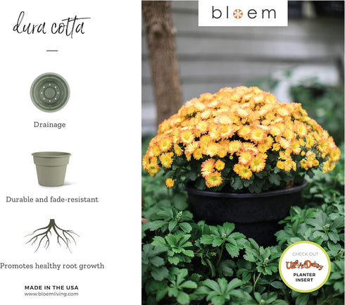 Bloem DC8-00 Dura Cotta Planter, 8", Black...