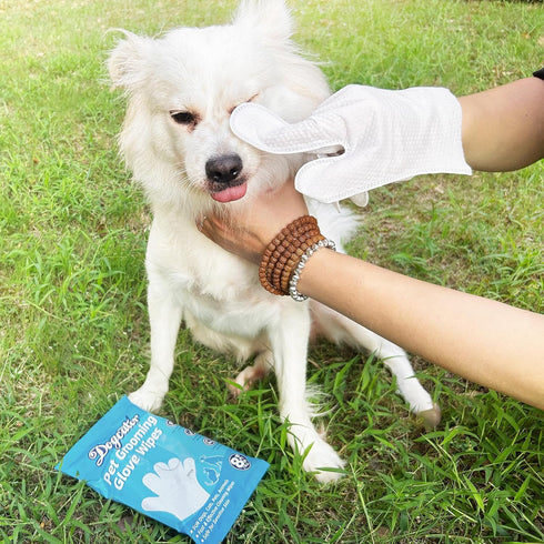 Dog Glove Wipes for Cleaning Paws Butt | Pet Grooming Deodorizing Dog Ear Glove Wipes | Fragrance Free Natural Puppy Glove Wipes | Soothes Itchy D...