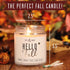 Fall Candles - 'Hello Fall' Fall Candle w/Cinnamon, Spice & Pumpkin Candle I Infused with Essential Oils I Autumn Fall Scented Candles I Pumpkin S...