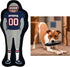 The 1st Ever Tough but Smooth Dog Toy NFL New England Patriots Football Athletes Player Tough Pet Toy. A Premium Quality Doggie Toy with Built-in ...