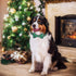 ADOGGYGO Christmas Dog Collar with Bow Tie Adjustable Dog Bowtie Collar Red Green Plaid Dog Christmas Collars for Small Medium Large Dogs Pets (X-...
