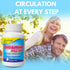 Arymar Diosmin Plus 500 – Circulatory Support Supplement with Hesperidin & B-Complex – 60 Capsules...