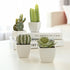 MyGift Set of 4 Assorted Miniature Artificial Succulent & Cactus Plants in White Cube-Shaped Pots...