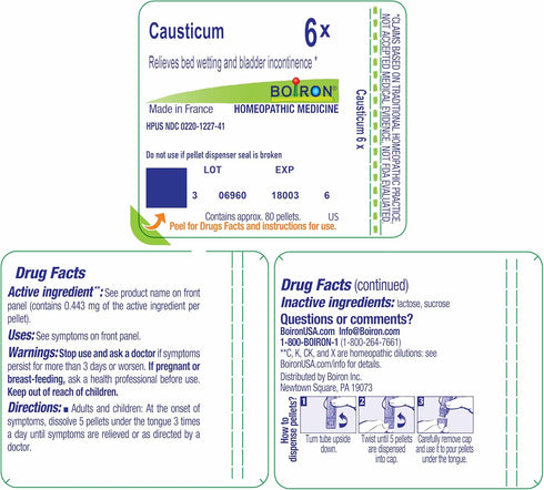 Boiron Causticum 6X for Bed-Wetting & Bladder Incontinence - 80 Pellets...
