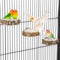 3PCS Bird Perch Natural Round Wooden Platform Parrot Perch Standing Branch for Chewing Exercise, Bird Stand Perch Swing Toys Cage Accessories for ...