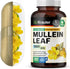 BIO KRAUTER Mullein Capsules for Lung Detox 1200 mg - 250 Count - Mullein Leaf Capsules for Respiratory Support - Vegan Lung Support Supplement - ...