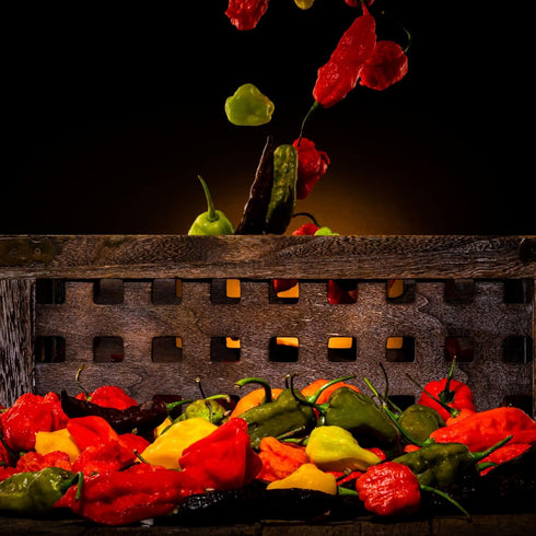 Hellfire Hot Sauce Infierno De Ajo Rojo - Gourmet Red Salsa Hot Sauce With Garlic and Carolina Reaper Peppers, 5 oz....