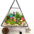 BEZALEL Miniature Fairy Garden Supplies Kit – Mini Fairy Garden Miniatures Decor for Garden Micro Landscape Yard Bonsai, Terrariums, Plant Pots – ...