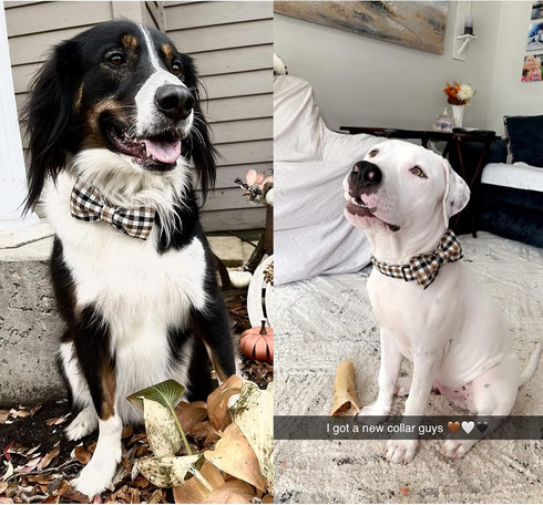Unique style paws Fall Dog Collar, Puppy Collar with Bowtie, Adjustable Dog collar Pet Gift for Small Medium Large Dogs...