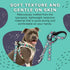 FuzzYard Dinosaur Land Dog Leash | Size S | Comfortable Neoprene Lead for Dogs | Perfect for Outdoor Walking & Training...