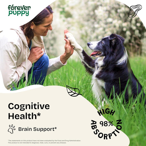 Cognition Drops for Dogs - Lion's Mane Mushroom Supplement for Dogs - Brain Health Support w/Ginkgo Biloba - Cognitive Drops w/Ashwagandha Root - ...