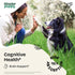 Cognition Drops for Dogs - Lion's Mane Mushroom Supplement for Dogs - Brain Health Support w/Ginkgo Biloba - Cognitive Drops w/Ashwagandha Root - ...