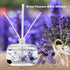 Reed Diffuser Set with Sticks, Daroma Dried Flowers Aromatherapy Reed Diffuser with Nature Essential Oil, Fragrance Scent Diffuser for Home Décor ...