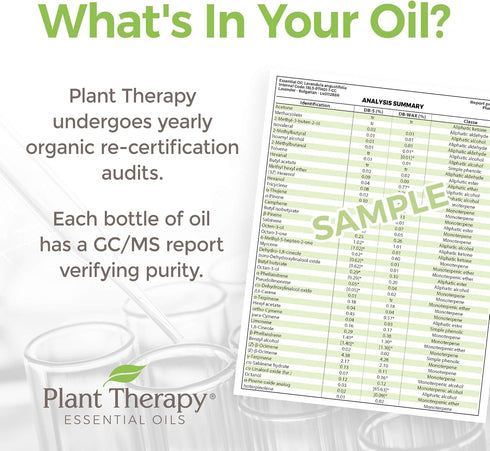Plant Therapy Organic Egyptian Geranium Essential Oil 100% Pure, USDA Certified Organic, Undiluted, Natural Aromatherapy, Therapeutic Grade 5 mL (...