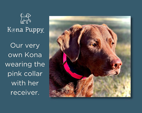 Waterproof E-Collar Replacement Strap Dog Collar for Invisible Fence/ecollar - Easy On Bungee...