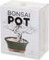 Glazed Ceramic Bonsai Pot - Decorative Planter for Dwarf Trees, Succulents, and Small Plants - Perfect for Indoor and Outdoor Gardens, Table Cente...
