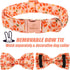 Fall Boy Dog Collar Bow Tie,Orange Maple Leafs Rugby Dog Collar with Safety Metal Buckle Adjustable Thick Puppy Collars for Small Medium Large Dog...
