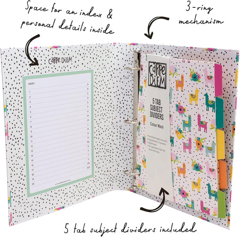 Pukka Pad, Carpe Diem Preloaded Rollbound Ringbinder – 12.4 x 10.8in – Includes Index, Personal Details, and Planner Pages – Comes Preloaded with ...