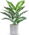 16" Small Fake Plants Artificial Tropical Faux Plants Indoor Desk Plant for Home Office Kitchen Shelf Sage Green Decor...