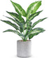 16" Small Fake Plants Artificial Tropical Faux Plants Indoor Desk Plant for Home Office Kitchen Shelf Sage Green Decor...