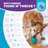 Outward Hound Double-Tuff Interactive Treat Stuffer Dog Chew Toy, Durable Dog Toy, Medium, Blue...