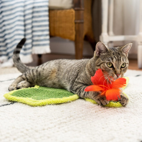 Kitty City Premium Catnip Sisal Scratch Pad, Cat Cactus with Toy Design, Natural Cat Training Scratch Play Pad, Large...