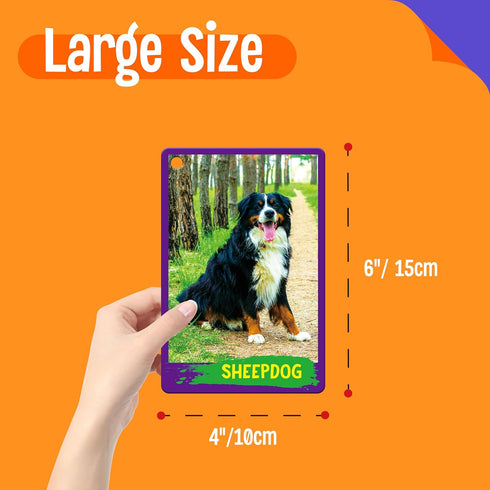 My First 120 Animals, 60PCS Realistic Zoo Animal Cards Farm/Wild/Marine Animals/Insects/Birds Flashcards Montessori & Science Educational Toys Pre...