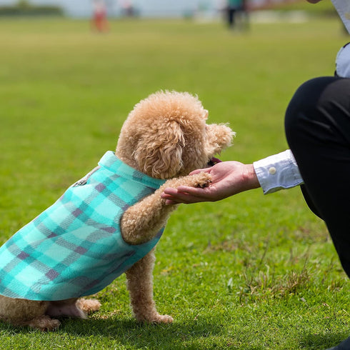 4 Pieces Winter Fabric Dog Sweater with Leash Ring Fleece Vest Dog Pullover Jacket Warm Pet Dog Clothes for Puppy Small Dogs Cat Chihuahua Boy (Pl...