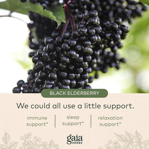 Gaia Herbs Black Elderberry, NightTime Syrup - Immune Support Supplement - with Organic Black Elderberries, California Poppy & Lemon Balm for Rest...