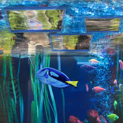 5pcs Aquarium Floating Plant Rings, Square Foam Fish Feeding Corral Fish Tanks Food Rings Floating Plant Feeding Ring for Keeping Floating Plants ...