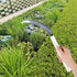 Sod Cutter Japanese Weeding Sickle, Japanese Weeding Tool with Sawtooth, Hand Sickle Weeding Tools for Garden, Hand Hoe Garden Tool, Light Serrati...