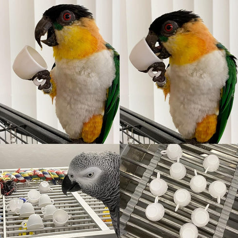 Honbay 10PCS Dollhouse Mini Coffee Cups White Plastic Coffee Cups Dollhouse Miniatures Food Kitchen Room Decoration Accessories Simulation Mini Co...