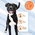 Pet Naturals Calming for Dogs, 30 Chews - Naturally Sourced Stress and Anxiety Calming Ingredients for Behavior Support - Vet Recommended...