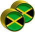 Jamaican Flag Jamaica Birthday Party Supplies Set Plates Napkins Cups Tableware Kit for 16...