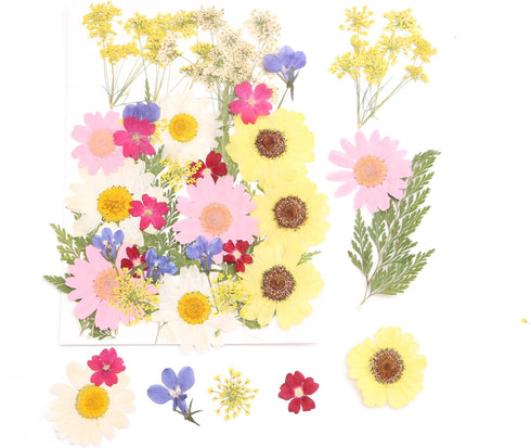 35pcs Resin Dried Flowers + 2 Tweezers, Pressed Flowers-Real Natural Herbs , for DIY Ornaments Candles Cups Making Wall Stickers Lampshades Art Cr...