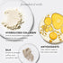 IT Cosmetics Bye Bye Pores Pressed Finishing Powder - Universal Shades - Contains Anti-Aging Peptides, Hydrolyzed Collagen & Antioxidants - 0.31 o...