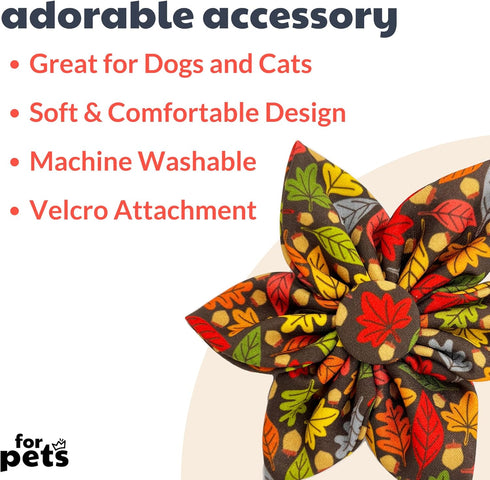 Huxley & Kent Pet Pinwheel | Leaves & Nuts (Large) | Fall Collar Accessory for Dogs/Cats | Bow Collar Attachment | Cute, Comfortable Accessory | H...