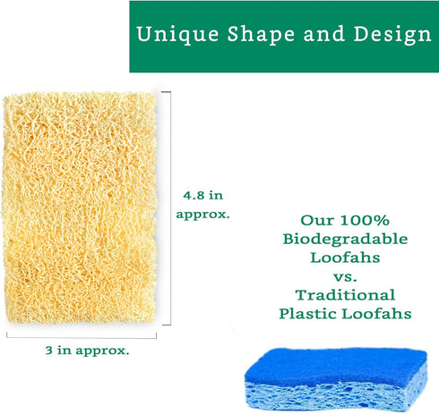 Natural Loofah Kitchen Sponge (XL - 10 Pack) - Natural Sponges for Dishes - Eco Friendly Sponges - Compostable Sponge - Biodegradable Sponges Kitc...