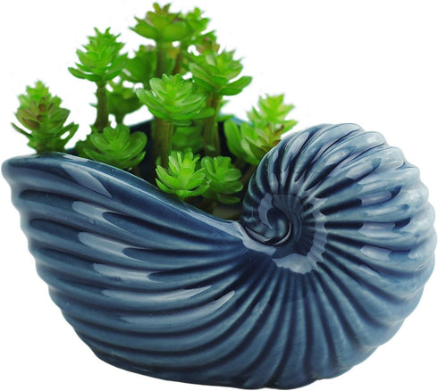 VanEnjoy 5" Ceramic Succulent Pot, Cute Ocean Blue Seashell Series, Conch Shaped Cactus Pot Planter, Flower Pot, Pottery Bonsai Pot, Cute Shell So...