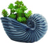 VanEnjoy 5" Ceramic Succulent Pot, Cute Ocean Blue Seashell Series, Conch Shaped Cactus Pot Planter, Flower Pot, Pottery Bonsai Pot, Cute Shell So...