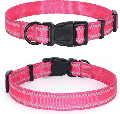 Mile High Life | Nylon Night Light Glow Collar for Medium Dogs | Reflective Band Cat Collar | Fluorescence self-luminescence Strap Puppy Collar | ...