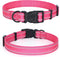 Mile High Life | Nylon Night Light Glow Collar for Medium Dogs | Reflective Band Cat Collar | Fluorescence self-luminescence Strap Puppy Collar | ...