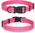 Mile High Life | Nylon Night Light Glow Collar for Medium Dogs | Reflective Band Cat Collar | Fluorescence self-luminescence Strap Puppy Collar | ...