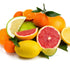 Earth To Skin Super Fruits Citrus Day Gel Cream, Hydrating, Moisturizing, Soothing (4.0 Fl Oz)...