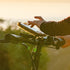 Bicycle Phone Mount By Delta Cycle - Lockable Bike Phone Mount Handlebar Adjusts To Any Size Bar - Fits Any Phone Or IPhone Up To 3.5" x 7.8" - Ea...