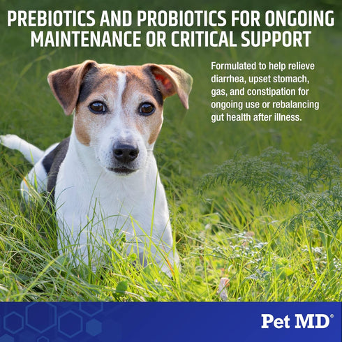 Pet MD Biotic Probiotics for Dogs & Cats - Prebiotic, Fiber, & Probiotic Powder - Gas, Constipation Relief, & Anti Diarrhea - Balance Digestive Fl...